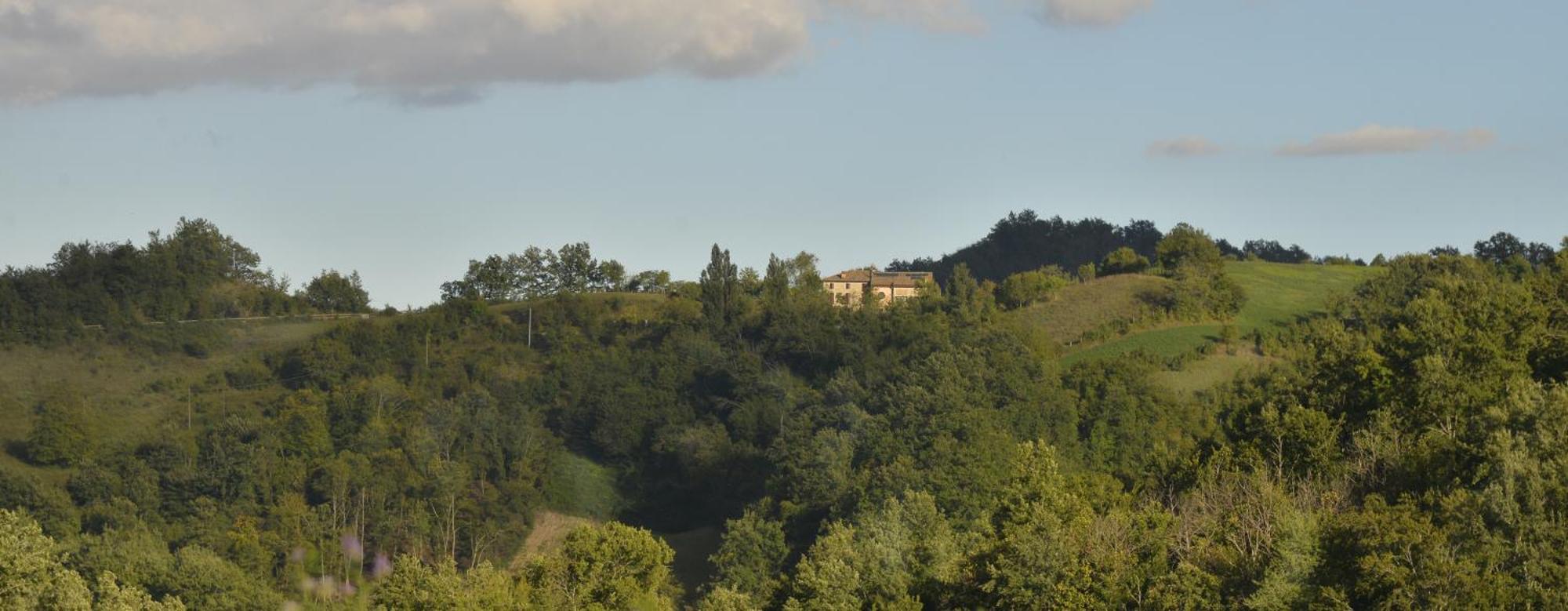 Agriturismo Campo Del Pillo Pietradura Exterior photo